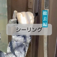 画像287