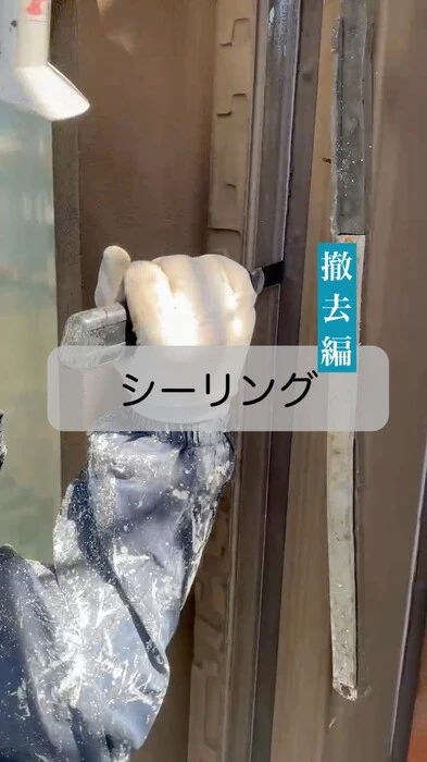 画像287